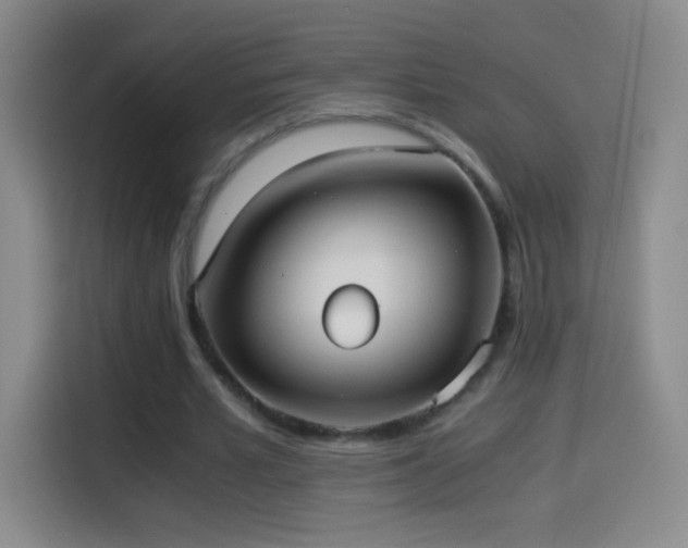 X0000114540581200910191343