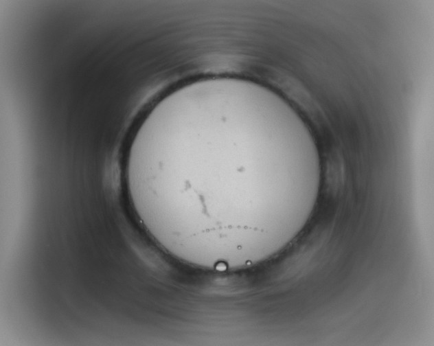 X0000114540584200910191343