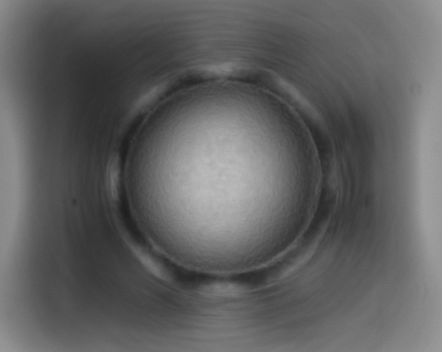 X0000114540590200910191343