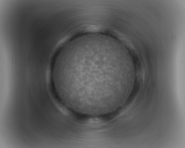 X0000114540591200910191343