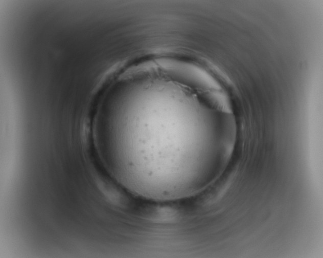 X0000114540592200910191343