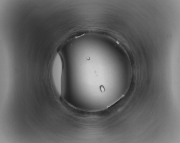 X0000114540593200910191343