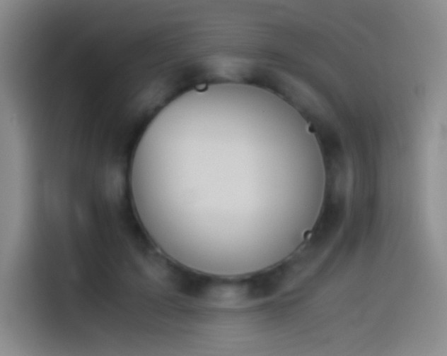 X0000114540595200910191343