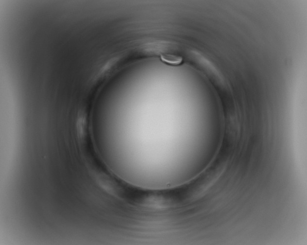 X0000114540596200910191343