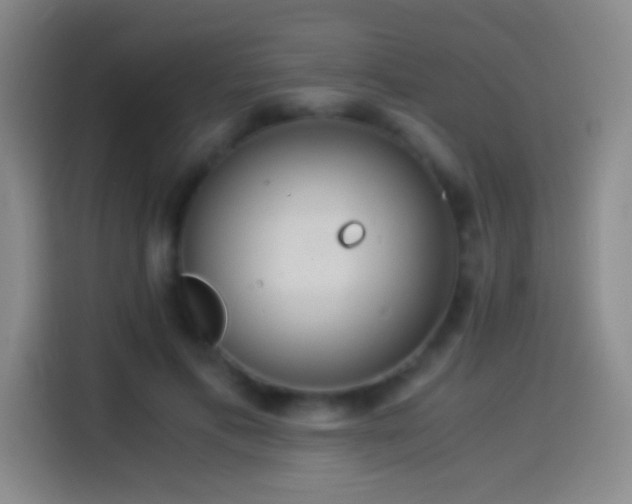 X0000114540597200910191343