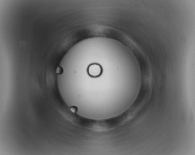 X0000114540603200910191343