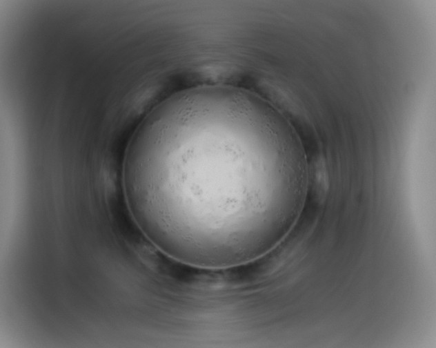 X0000114540615200910191343