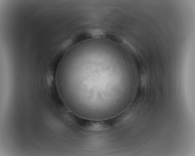 X0000114540618200910191343