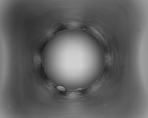 X0000114540621200910191343