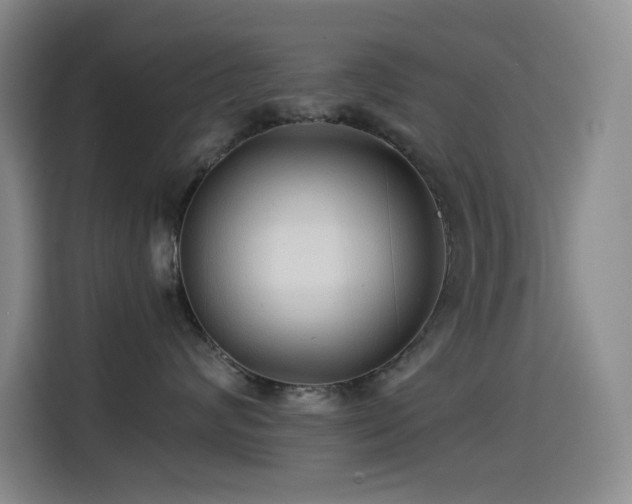 X0000114540624200910191343