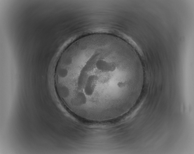 X0000114540625200910191342