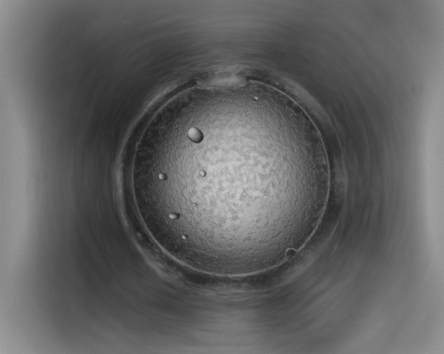 X0000114540626200910191342