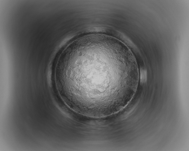 X0000114540627200910191342