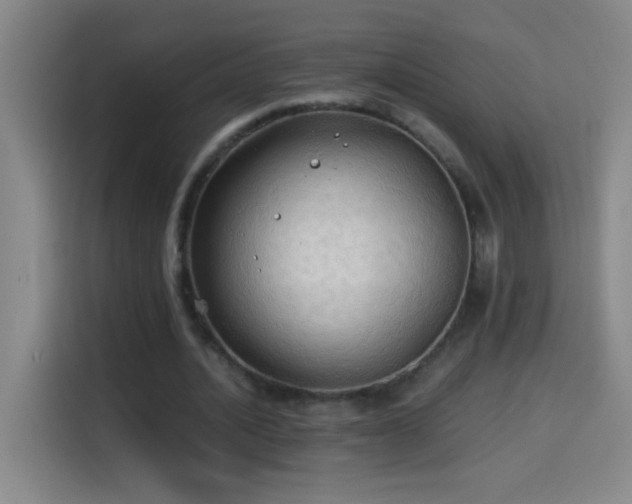 X0000114540628200910191342