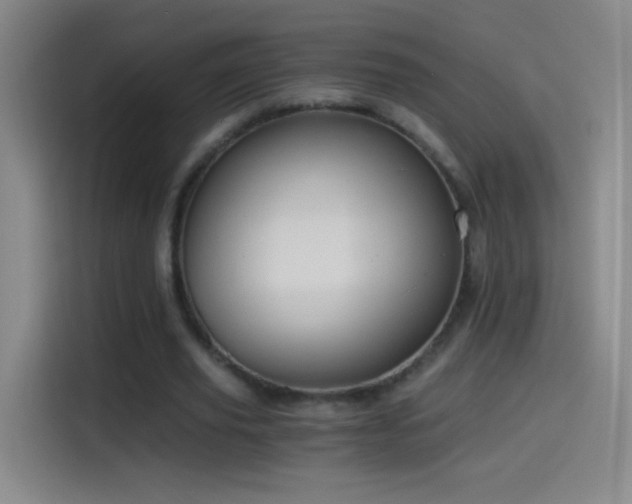 X0000114540629200910191342