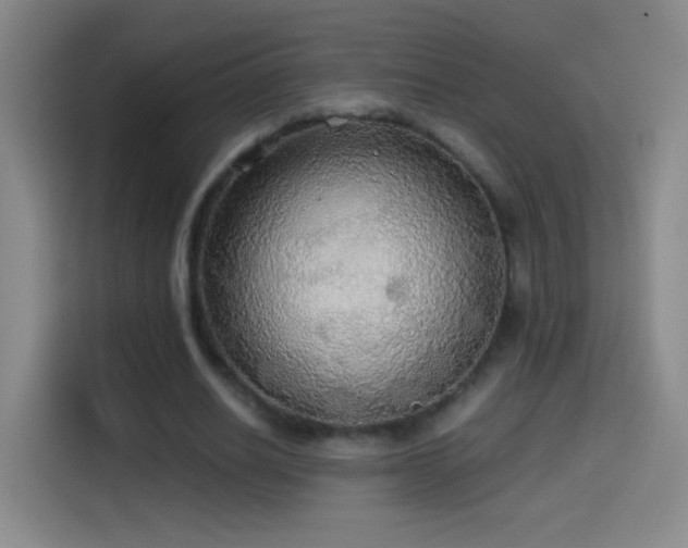 X0000114540630200910191342