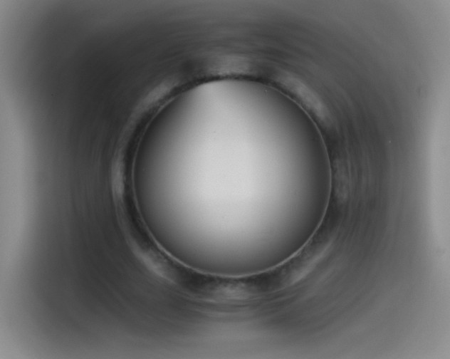 X0000114540631200910191342