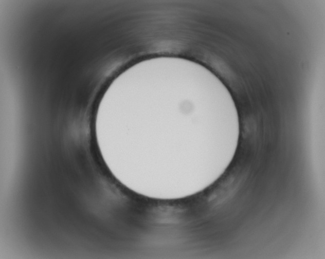 X0000114540632200910191342