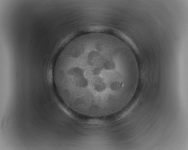 X0000114540633200910191342