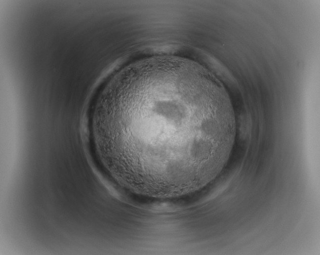 X0000114540634200910191342