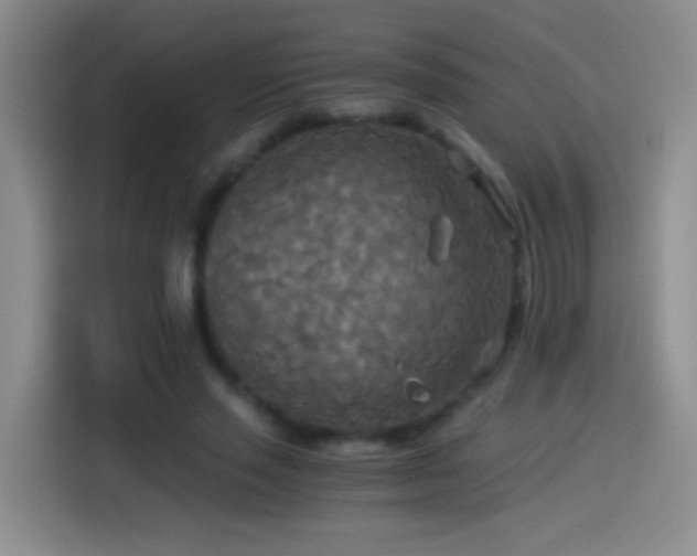 X0000114540637200910191342