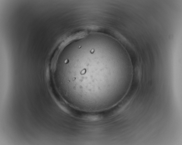 X0000114540638200910191342