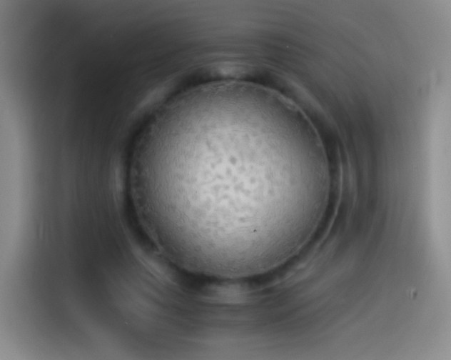 X0000114540639200910191342