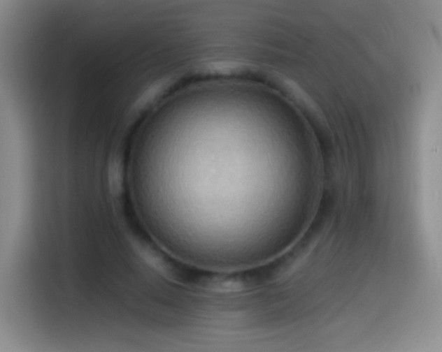 X0000114540640200910191342