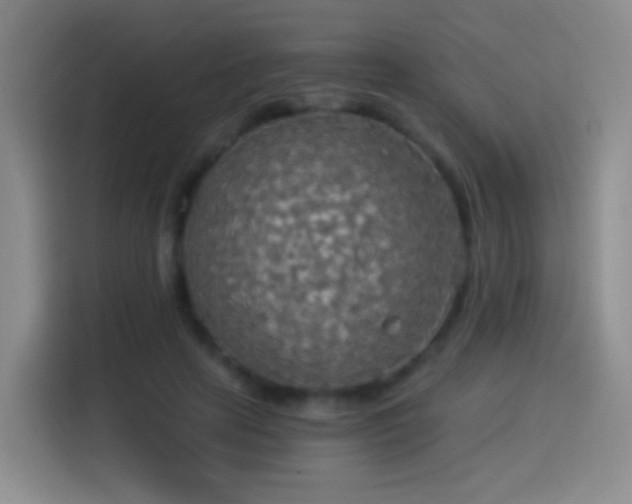 X0000114540641200910191342