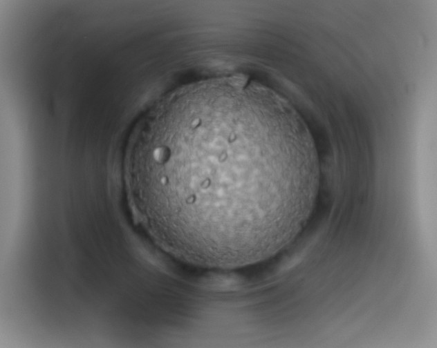 X0000114540642200910191342