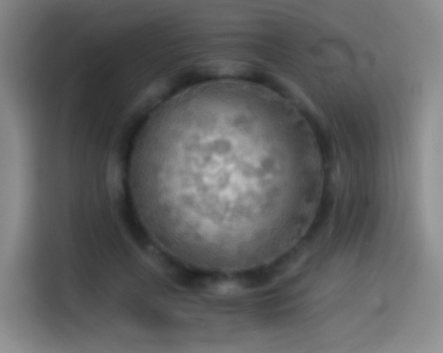 X0000114540643200910191342