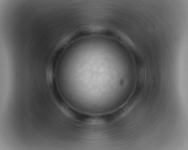 X0000114540644200910191342