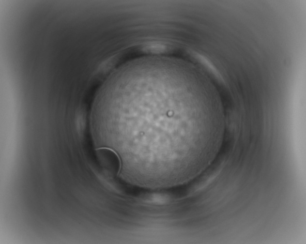 X0000114540645200910191342