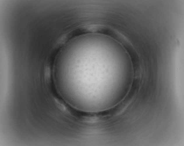 X0000114540646200910191343