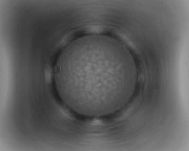 X0000114540647200910191343