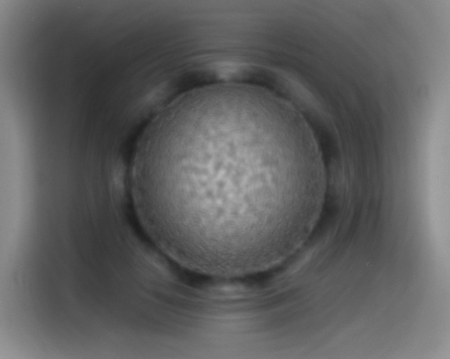 X0000114540650200910191343