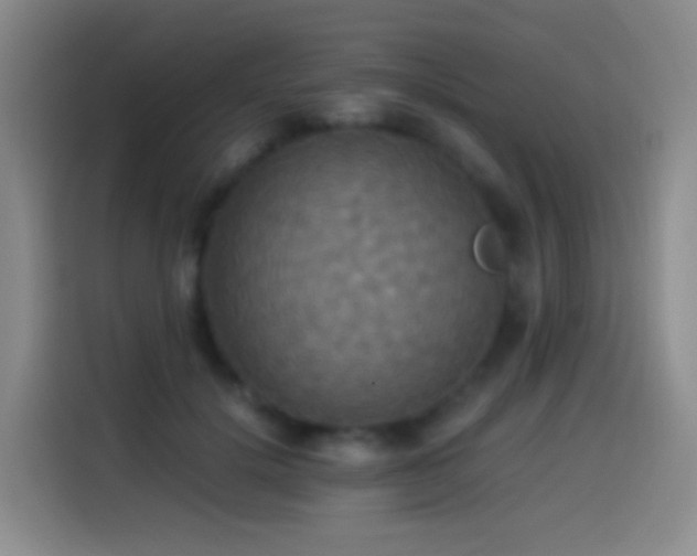 X0000114540652200910191343