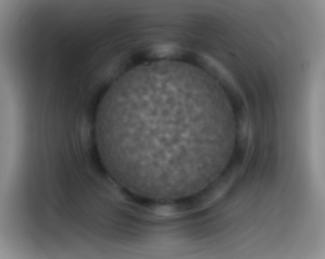 X0000114540653200910191343