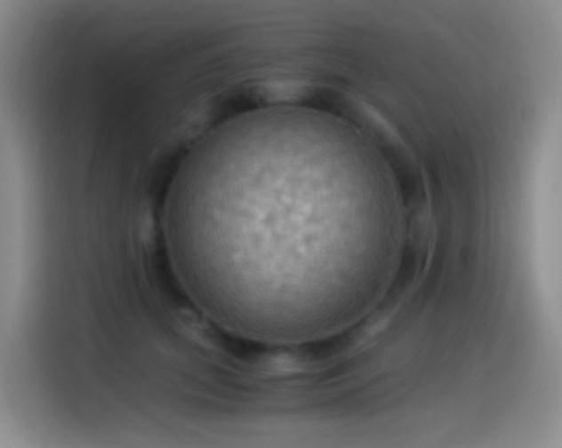 X0000114540655200910191343