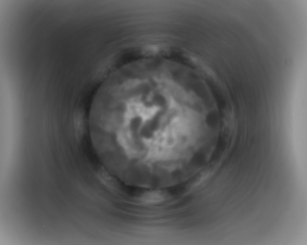 X0000114540659200910191343