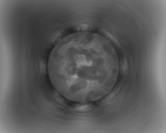 X0000114540661200910191343