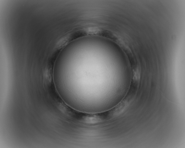 X0000114540666200910191343