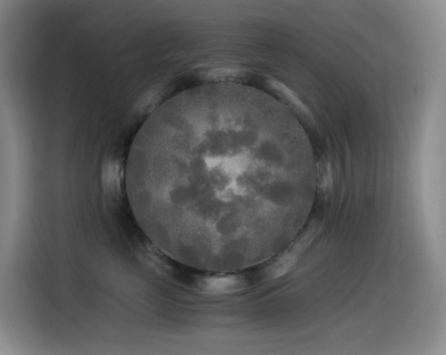 X0000114540669200910191343