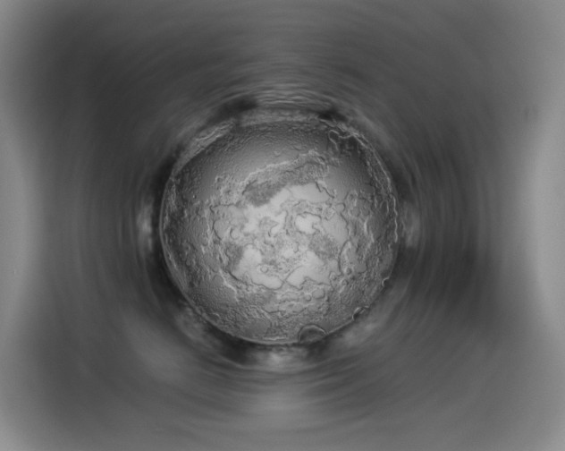 X0000114540670200910191343