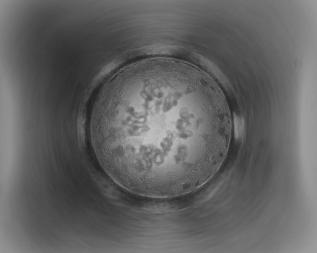 X0000114540675200910191342