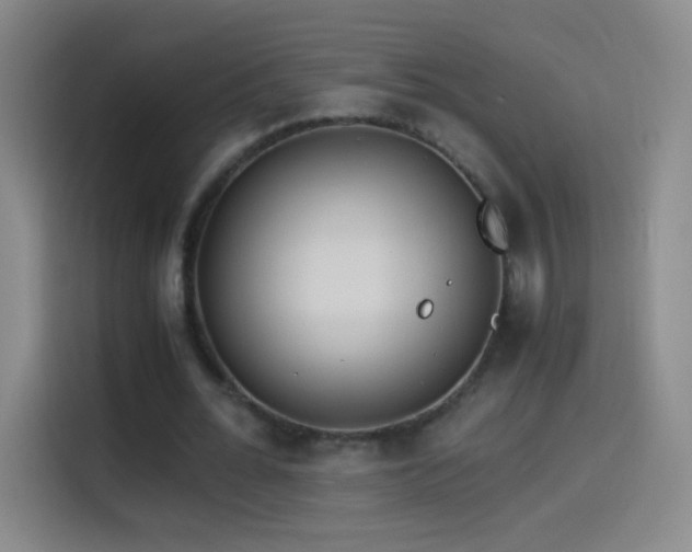 X0000114540676200910191342