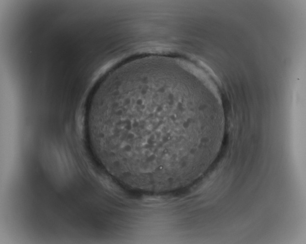 X0000114540679200910191342