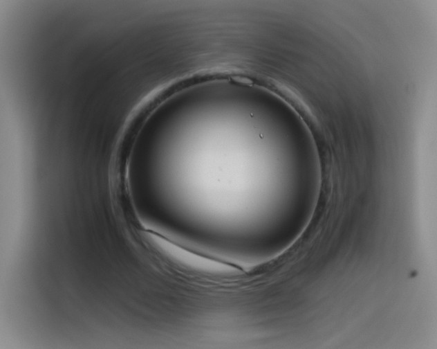 X0000114540680200910191342