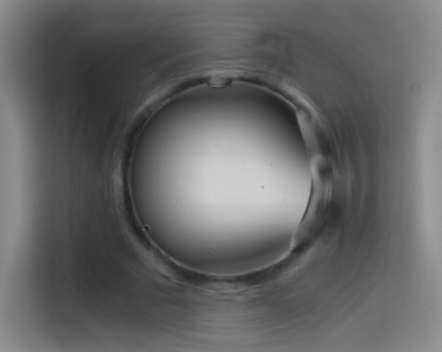 X0000114540681200910191342