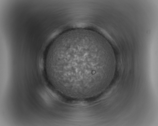 X0000114540683200910191342